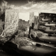 �eka I. / River I.