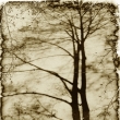 Due stromu I. / Soul of the tree I.
