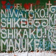 Report� z domu radosti a smutku