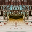 Do du�e lesa II. / To soul of forest II.